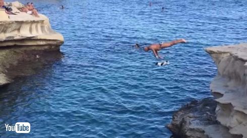 犬 ダイブ 飛び込み マルタ ティッティ Titti