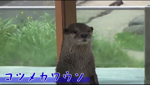 那須どうぶつ王国