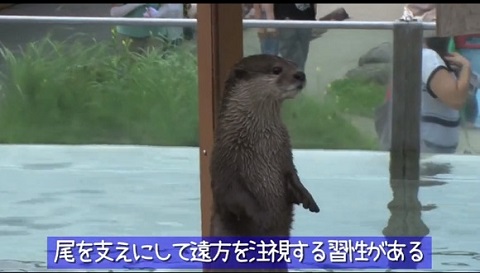 那須どうぶつ王国