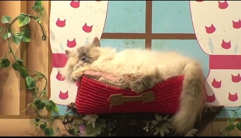 那須どうぶつ王国