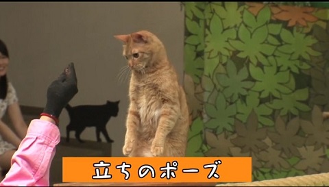 那須どうぶつ王国