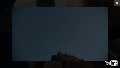 任天堂次世代機