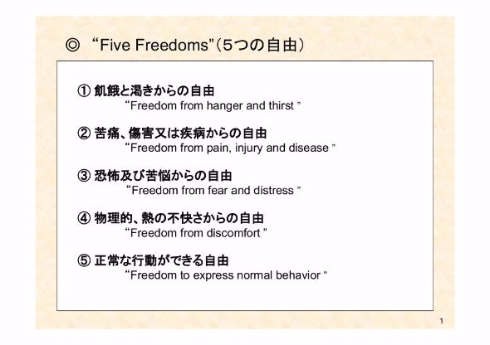 伊香保グリーン牧場 牛の乳しぼり体験終了 観光牧場 動物福祉 アニマルウェルフェア