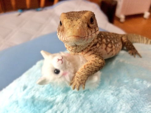 サバンナモニター