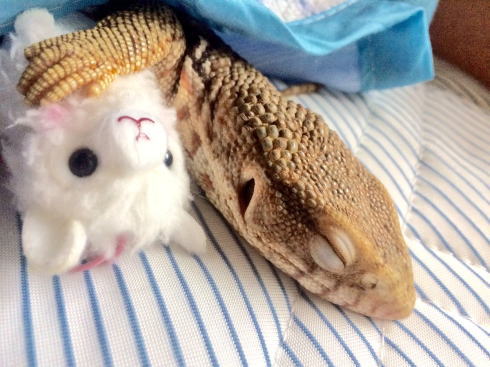 サバンナモニター