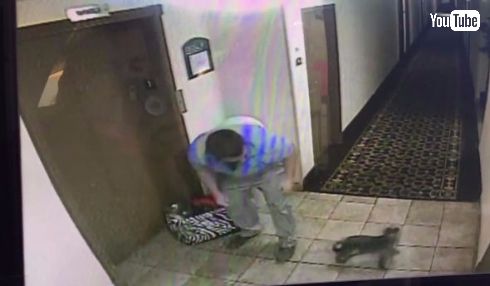 危機一髪 犬 エレベーター 救助 ヒーロー