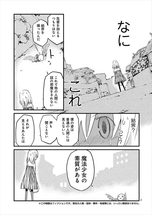 魔法少女なんてもういいですから。