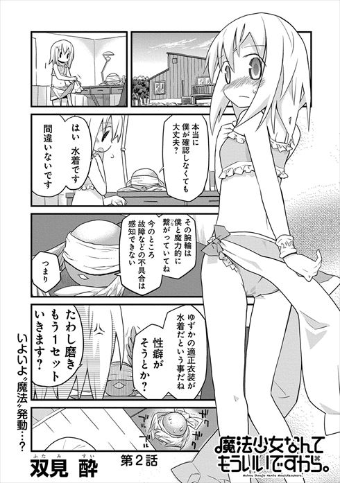 魔法少女なんてもういいですから。