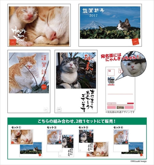 岩合光昭のねこ年賀はがき