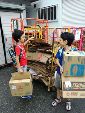 ダンボール集め