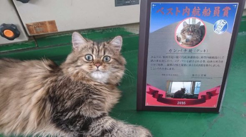 カンパチ 船長 ベスト内航船員賞 受賞 チンチラ Twitter うどん 猫