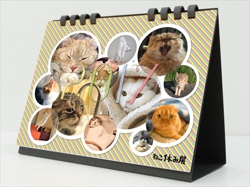 ねこ休み展巡回