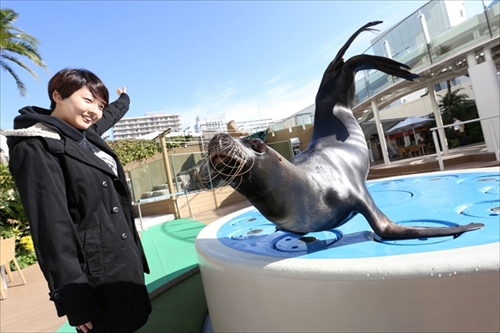 サンシャイン水族館福袋