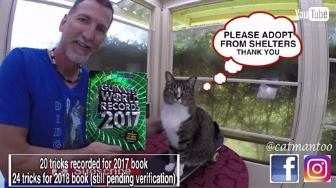 1分間に最も多く芸ができるギネス猫が自己記録を更新