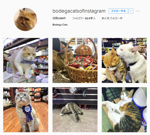 インスタグラム