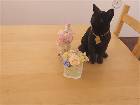 青猫書房