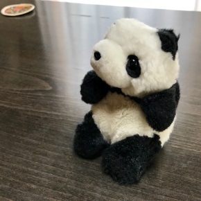 テテ通信 新潟 フリーペーパー