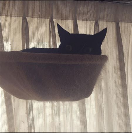 警戒キョロちゃん