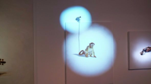 プロジェクションマッピング 美術館 ギャラリー 動く 絵 サル