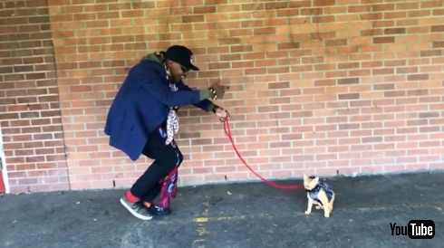 猫ラッパーMoshow