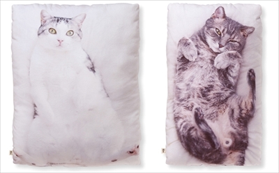 フェリシモ猫部・抱きまくら＆ポーチ