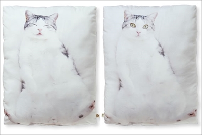 フェリシモ猫部・抱きまくら＆ポーチ