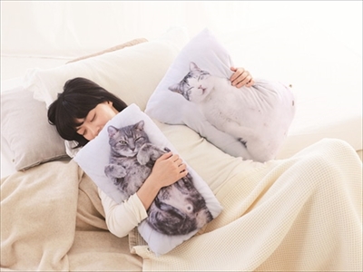 フェリシモ猫部・抱きまくら＆ポーチ