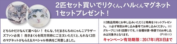 フェリシモ猫部・抱きまくら＆ポーチ