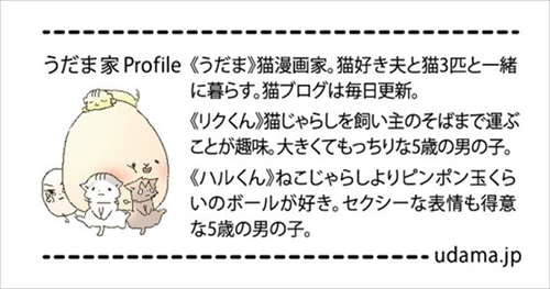 フェリシモ猫部・抱きまくら＆ポーチ