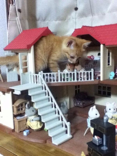 猫 進撃 巨猫 シルバニアファミリー ころん