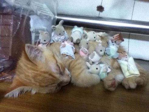 猫 進撃 巨猫 シルバニアファミリー ころん