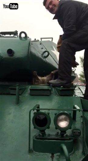 アライグマ＆パンツァー