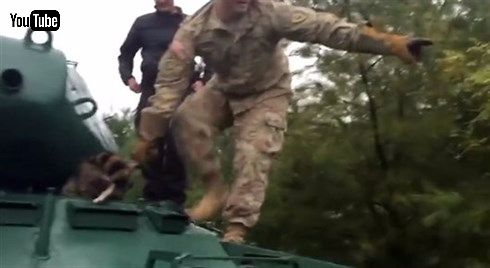 アライグマ＆パンツァー