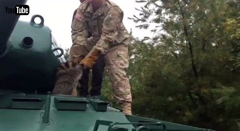 アライグマ＆パンツァー