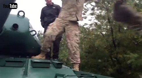 アライグマ＆パンツァー