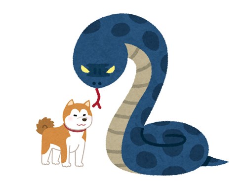 子犬を飲み込んだ疑いのヘビを確保　飼い主も絞め殺されかけ