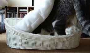 おはぎの成長後とまこまこ一家