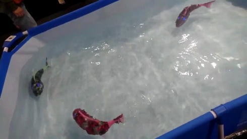 ロボフィッシュ