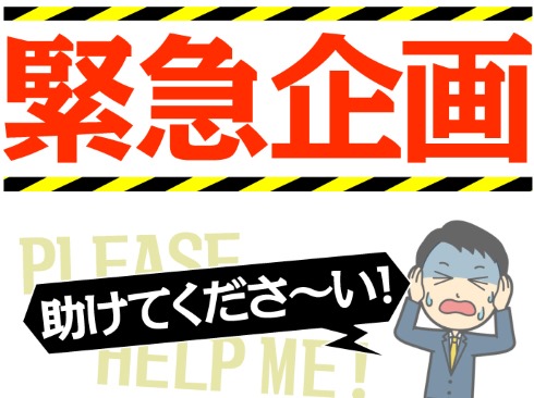 チューリップ ガチャ 訳あり ごちゃ混ぜ 