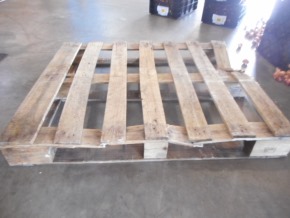 チューリップ ガチャ 訳あり ごちゃ混ぜ