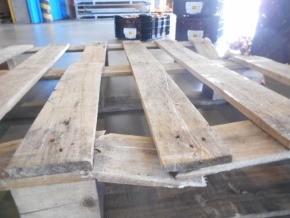 チューリップ ガチャ 訳あり ごちゃ混ぜ