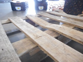 チューリップ ガチャ 訳あり ごちゃ混ぜ