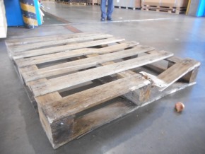 チューリップ ガチャ 訳あり ごちゃ混ぜ