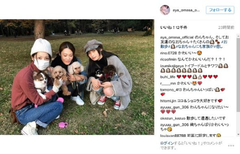 大政絢「犬会」