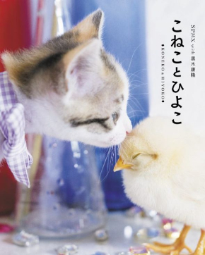 こねことひよこ