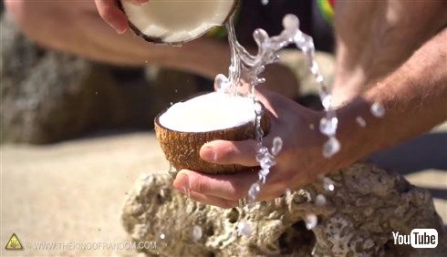  無人島に漂着してもあんしん！　ヤシの実を道具を使わずに割る方法