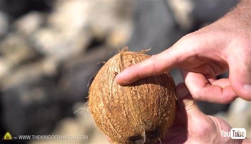  無人島に漂着してもあんしん！　ヤシの実を道具を使わずに割る方法