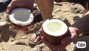  無人島に漂着してもあんしん！　ヤシの実を道具を使わずに割る方法