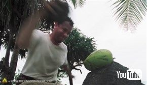  無人島に漂着してもあんしん！　ヤシの実を道具を使わずに割る方法