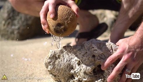  無人島に漂着してもあんしん！　ヤシの実を道具を使わずに割る方法